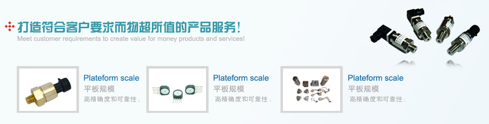 公司簡介